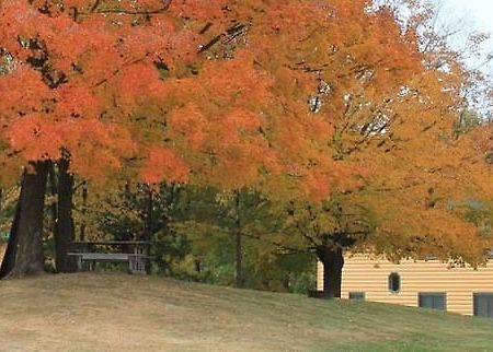 Mcquoid'S Inn And Event Center Isle Esterno foto